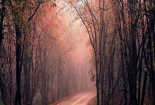 薩德準備幫助約旦創造更多歷史.