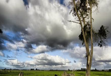 750名足球 “小花”登场,2024 年广州市青少年足球锦标赛女子组别开赛.