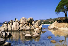 乐天堂fun88官网登录入口登录入口:老鷹展翅高飛 擊敗熱火喜迎三連勝 約翰遜楊希羅各顯神通.